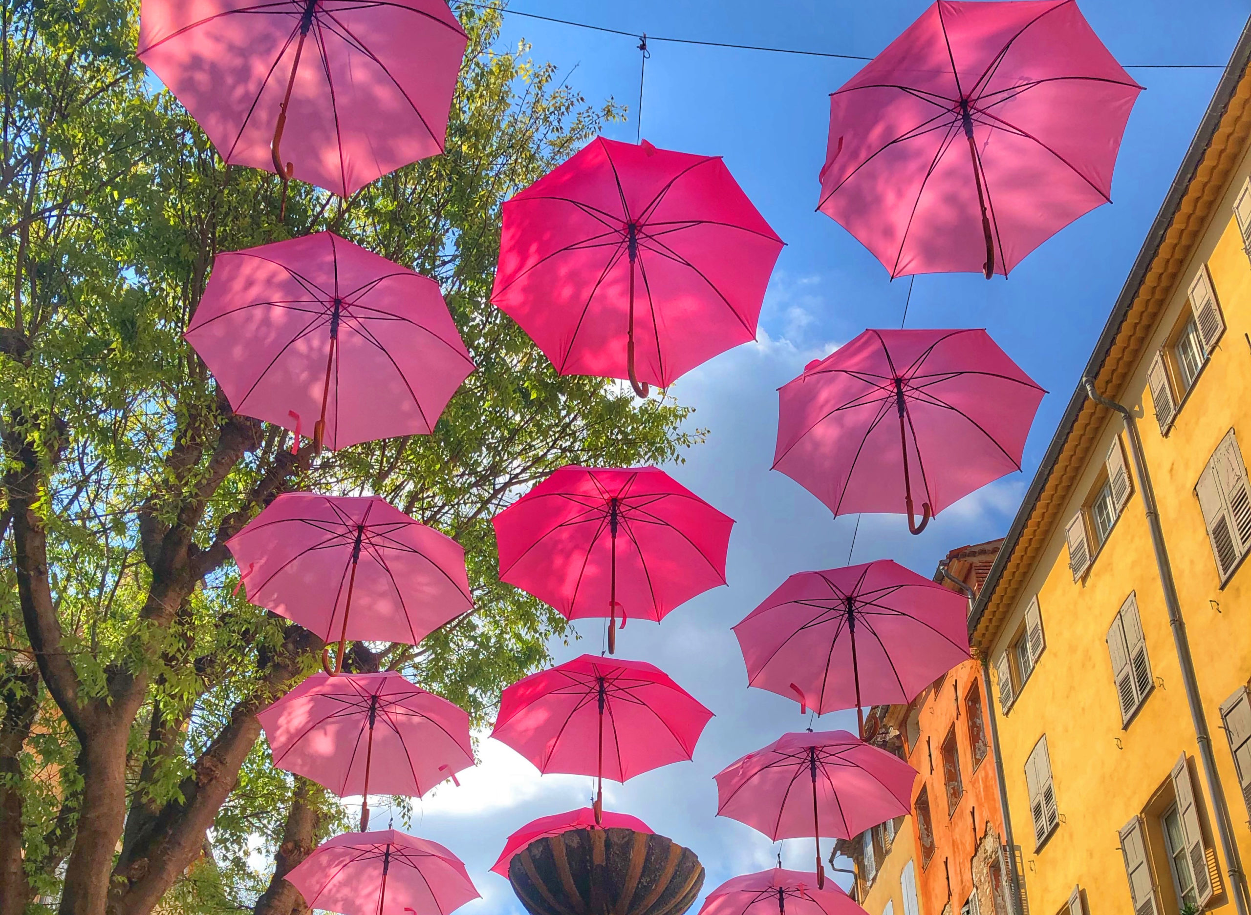parapluies01bis